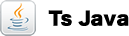 TsJava
